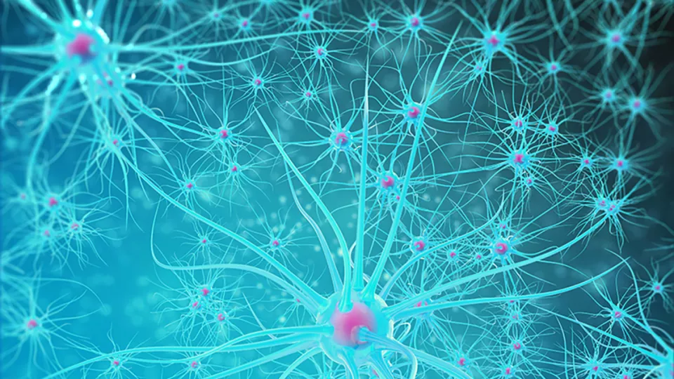 Illustration of nerve cells
