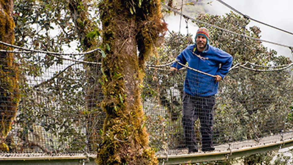 Hanging bridges are practical when studying leaves in tree crowns. Photo taken in Peru. Photo: Jake Bryant