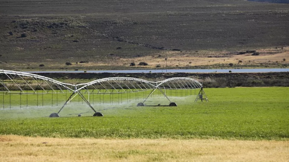 Foreign agricultural companies in Africa are draining the fresh water resources and increasing the competition for water. Photo: Shutterstock