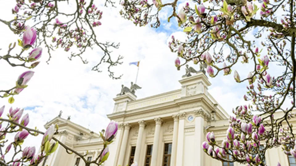 Main Lund University building with magnolia flowers in bloom