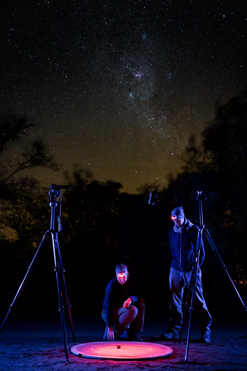 James Foster and Marie Dacke performing orientation experiments at a  dark-sky site in rural Limpopo (Photo: Chris Collingridge)