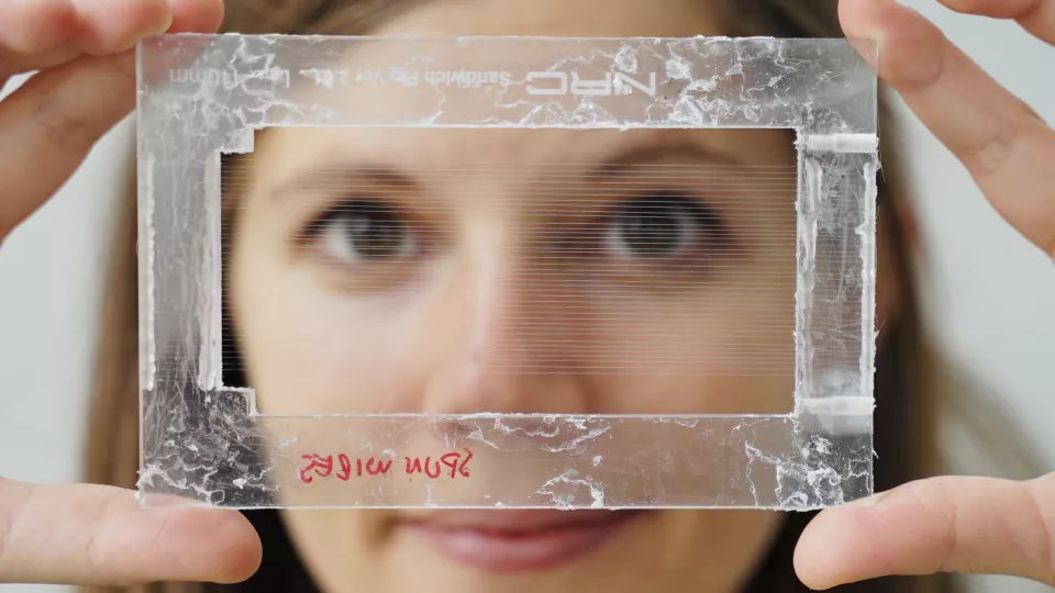 Matilda Forni with the ultra-thin microelectrodes during production (Photo: Agata Garpenlind)