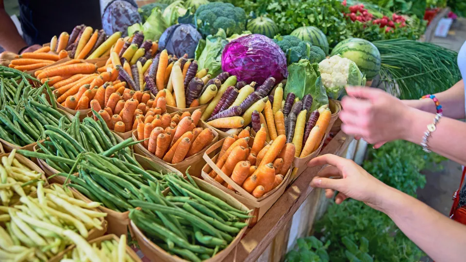 Vegetables stacked on a table 