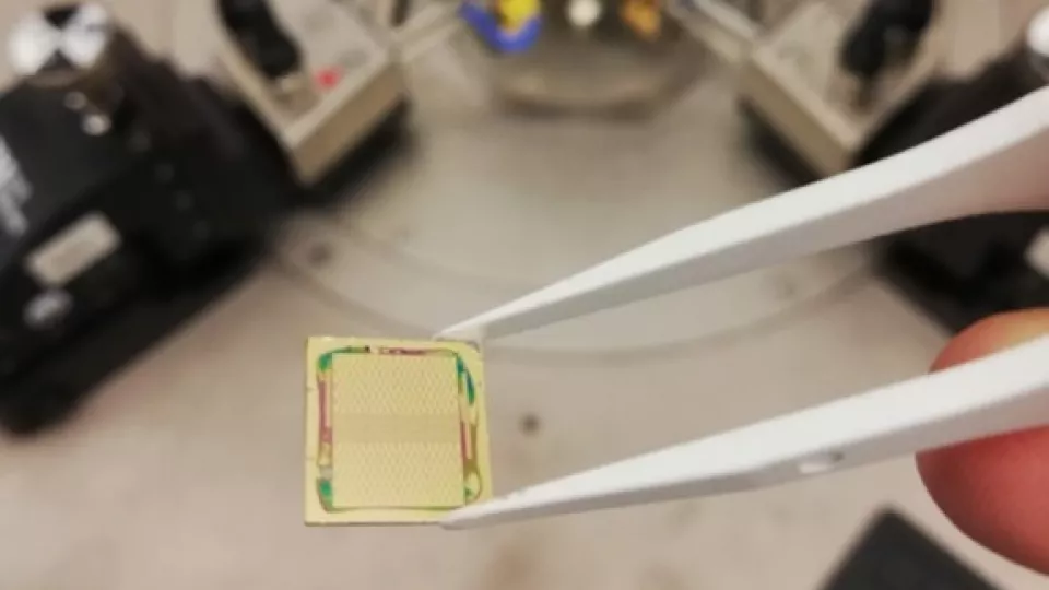 Small chip held with tweezers