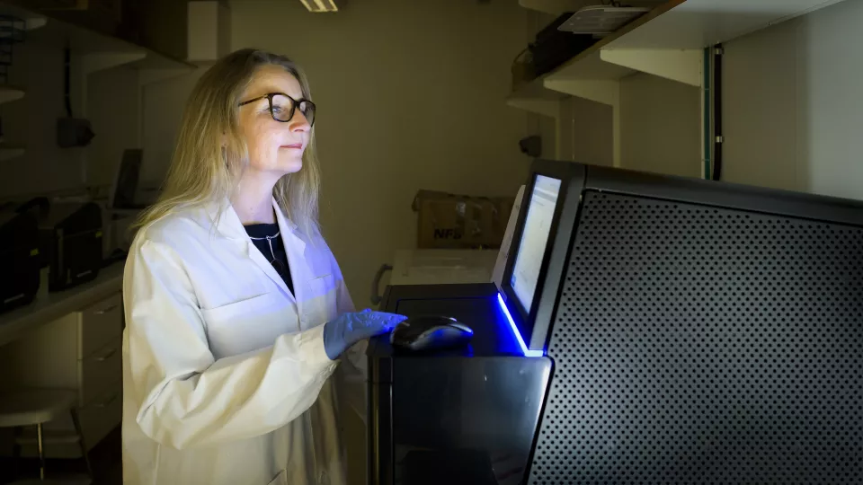 Charlotte Ling looking at a screen in the lab