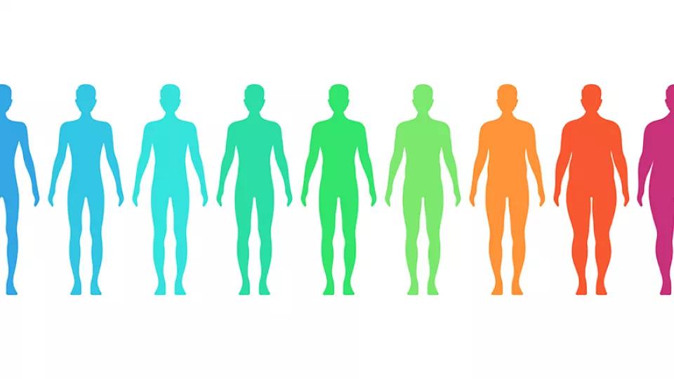 Illustration of normal weight people in various colors