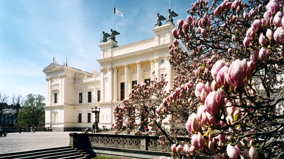 Main building of the university, partially behind magnolia flowers