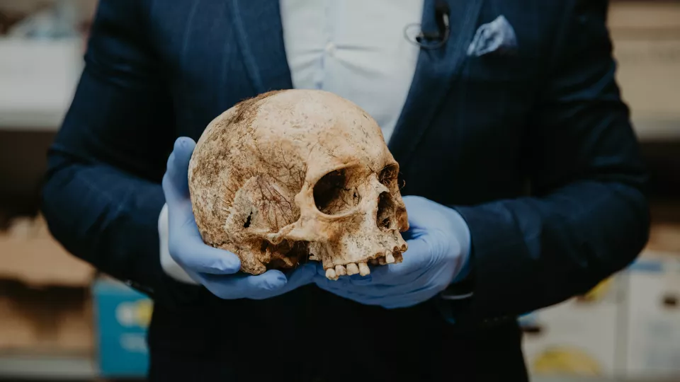 Person holding skull with gloves
