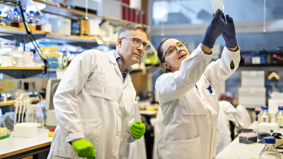  Johan Flygare and Aurélie Baudet, stem cell researchers at Lund University. Photo: Johan Persson.