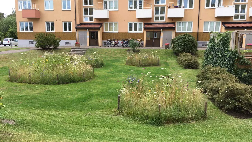 A garden in front of an apartment building