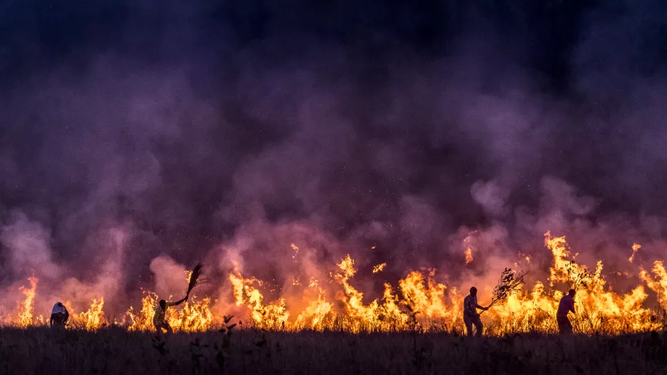 Fire in the field