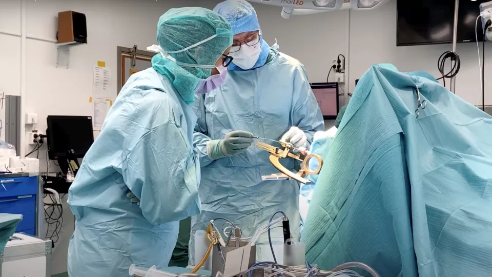 Photo from stem cell transplantation. photo.