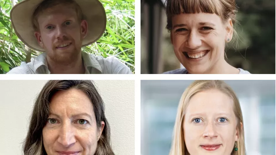 The four researchers who received ERC Starting Grants