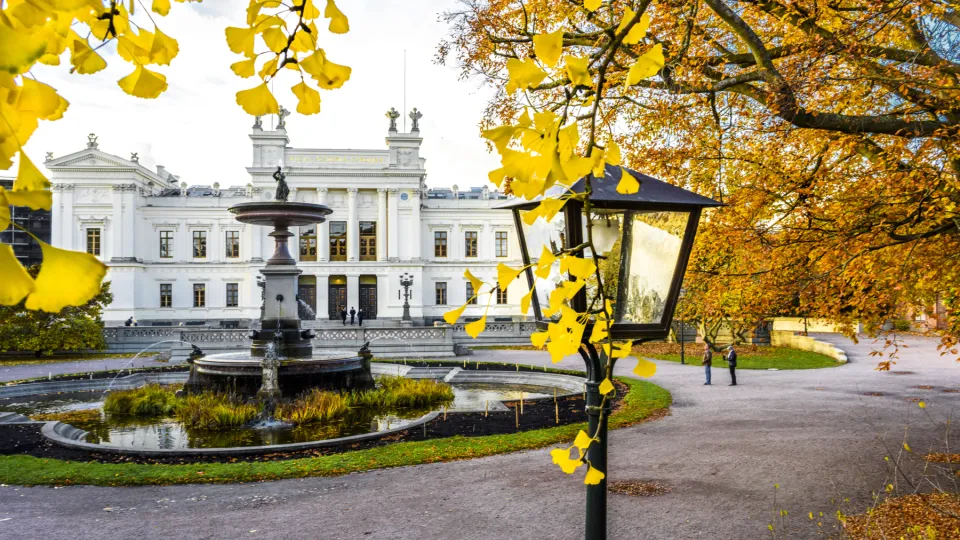 Universitetshuset och gingkoträd. Foto.