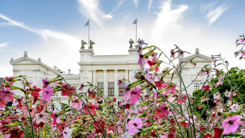 universitetshuset