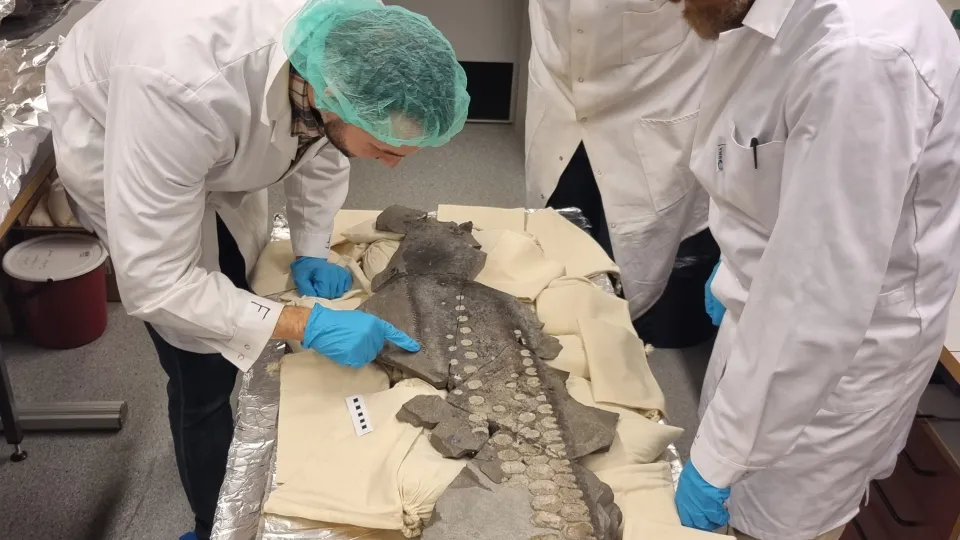 Researches examine the fossile