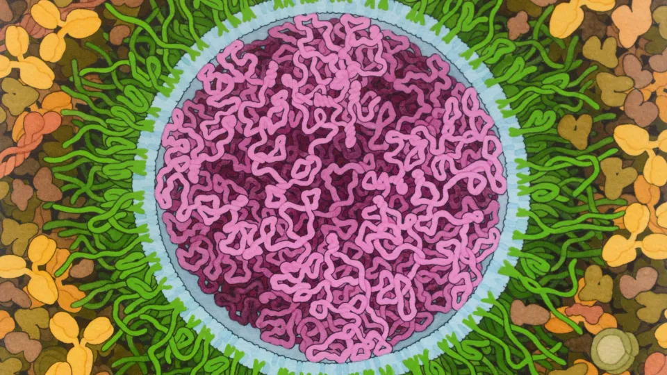 SARS-CoV-2 mRNA Vaccine, illustration by David S. Goodsell 