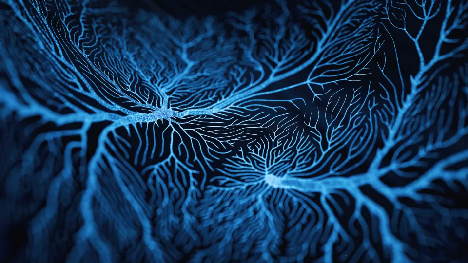Neuron cells system disease - 3d rendered image of Neuron cell network on black background. Photo: iStock