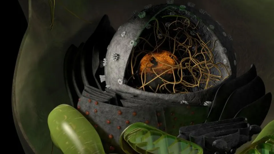 Johan Jakobsson's research group is interested in how gene expression is regulated in the brain and how the process affects, for example, neurodegenerative diseases. They do this by studying miRNA's role in gene regulation (Illustration: Bengt Mattsson)