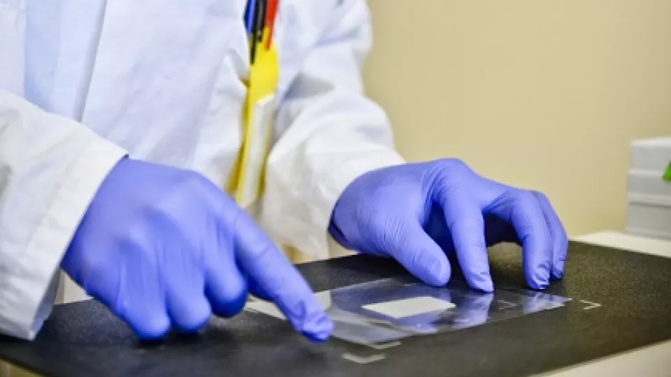 Researcher with protective gloves running tests