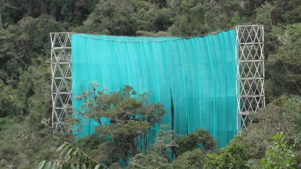 On a wild mountain slope of the Peruvian jungle, researcher Dan Metcalfe has strung up his huge plastic curtain.