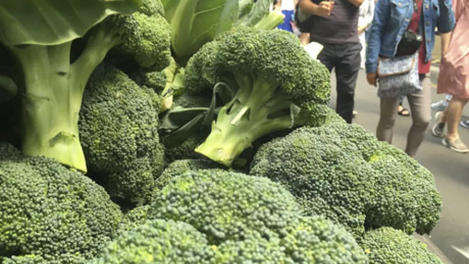 Broccoli