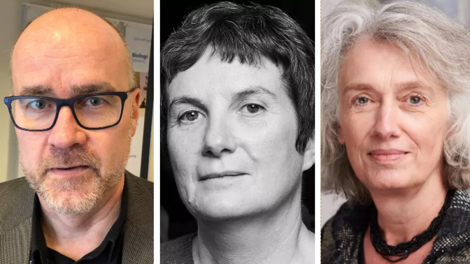 Hans Nordegaard, Sylvaine Laulom, Anne Ruth Mackor