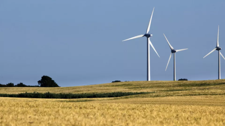 Wind turbines in a field (Photo by Mikael Risedal)