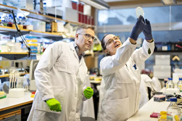  Johan Flygare and Aurélie Baudet, stem cell researchers at Lund University. Photo: Johan Persson.