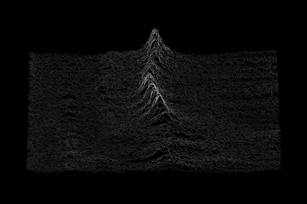 Black-and-white image of brainwaves
