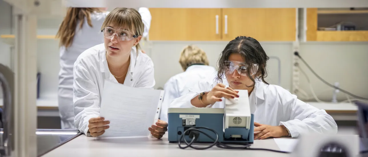 Students in a laboration.