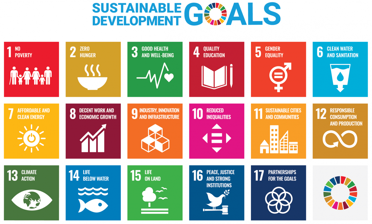 A graphic of the UN's SDGs