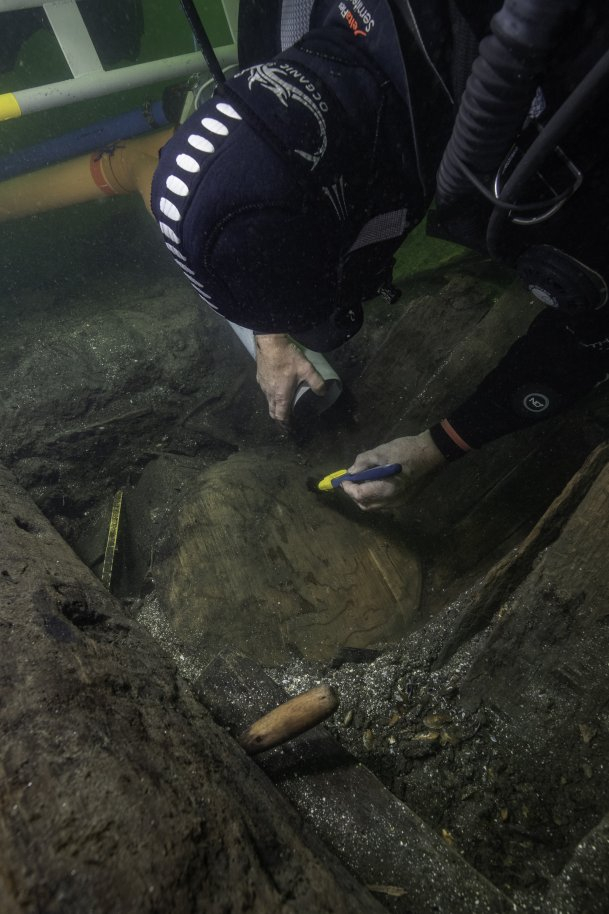 Newswise: Atlantic sturgeon in the king's pantry -- unique discovery in Baltic sea wreck from 1495