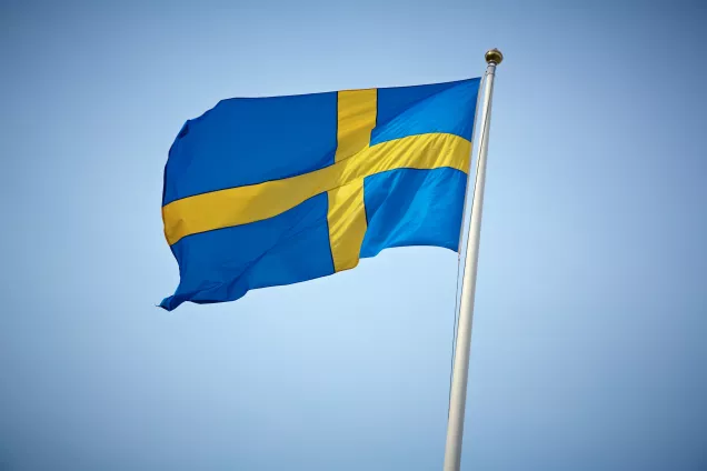 Swedish flag by Caroline Romare
