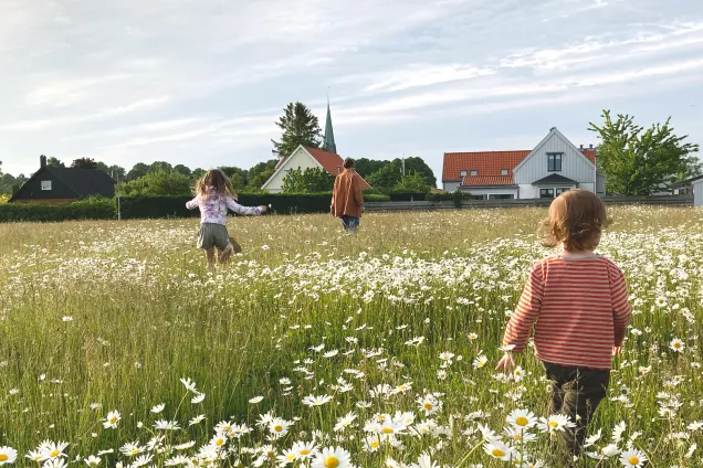 Children on meadow in Vintrie. Photo: Patrik Hekkala.