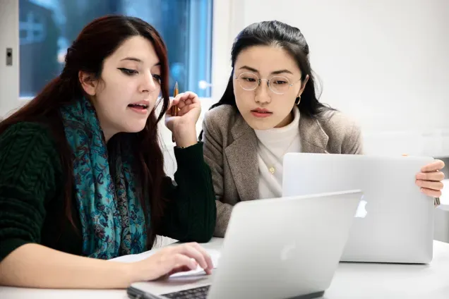 Two students sitting together, working on a laptop in a study area. Photo. 