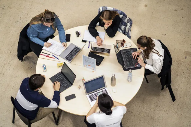 Students studying in a group with their laptops. Photo. 