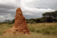 A termite stack