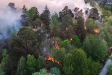 View of forest fire