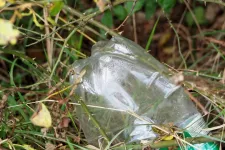 A plastic bottle in grass