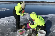 Researchers Maria Svensson Coelho and Hannah Blossom perform winter sampling of the green alga Chlamydomonas in Lake Krageholmssjön. 