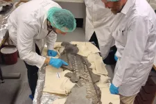 Researches examine the fossile