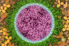 SARS-CoV-2 mRNA Vaccine, illustration by David S. Goodsell 