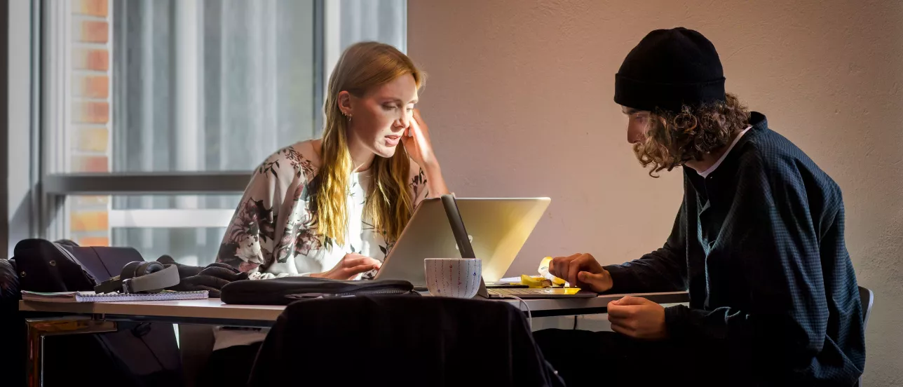 Two students studying together