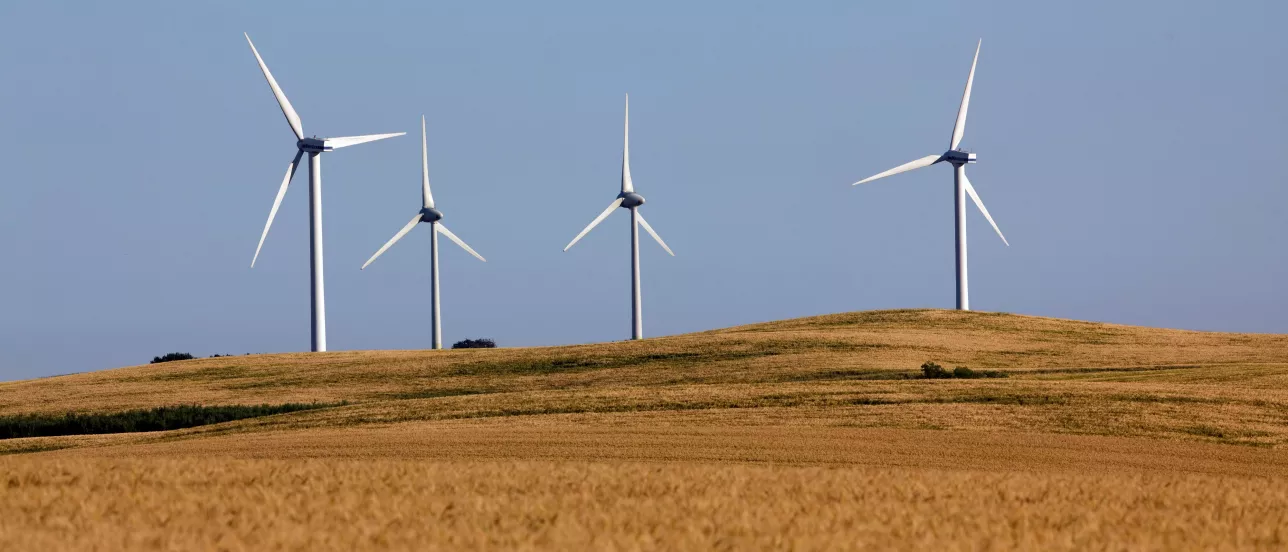 Windmills in a hilly, agricultural landscape