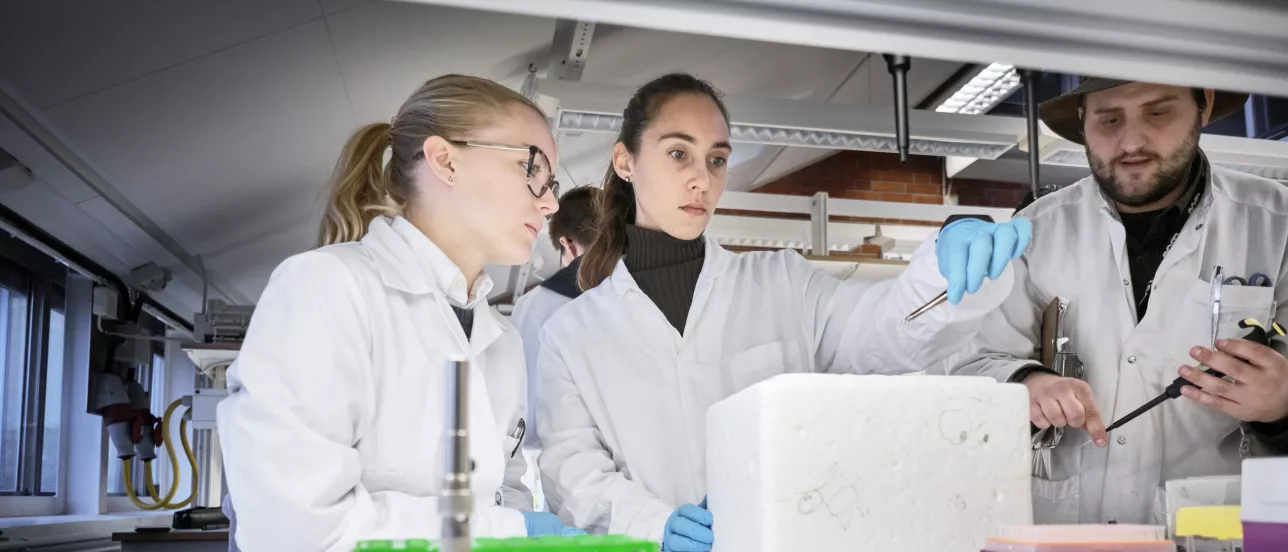 Students working in a lab. Photo.