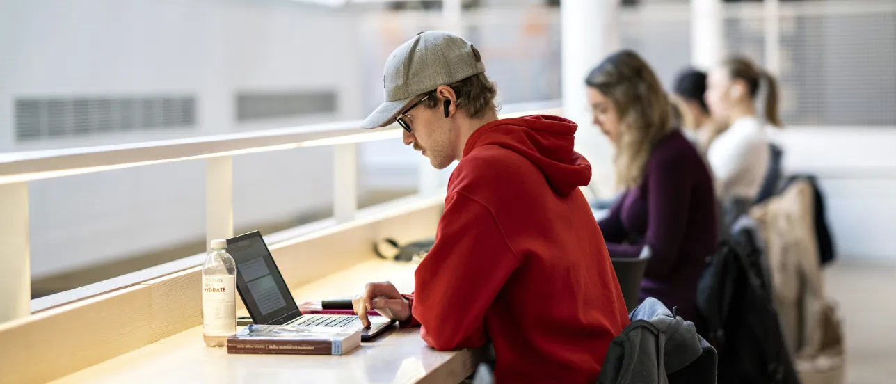 Students in the library at LUX.