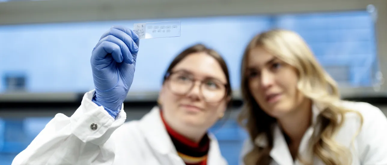 Students in the Biomedicine programme. Photo.