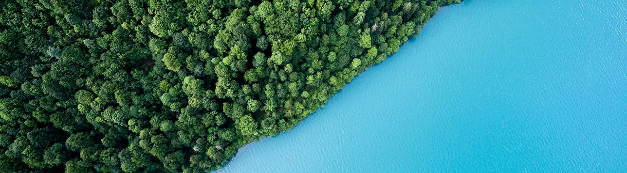 Lake and forest. Photo: Andreas Gücklhorn/Unsplash.