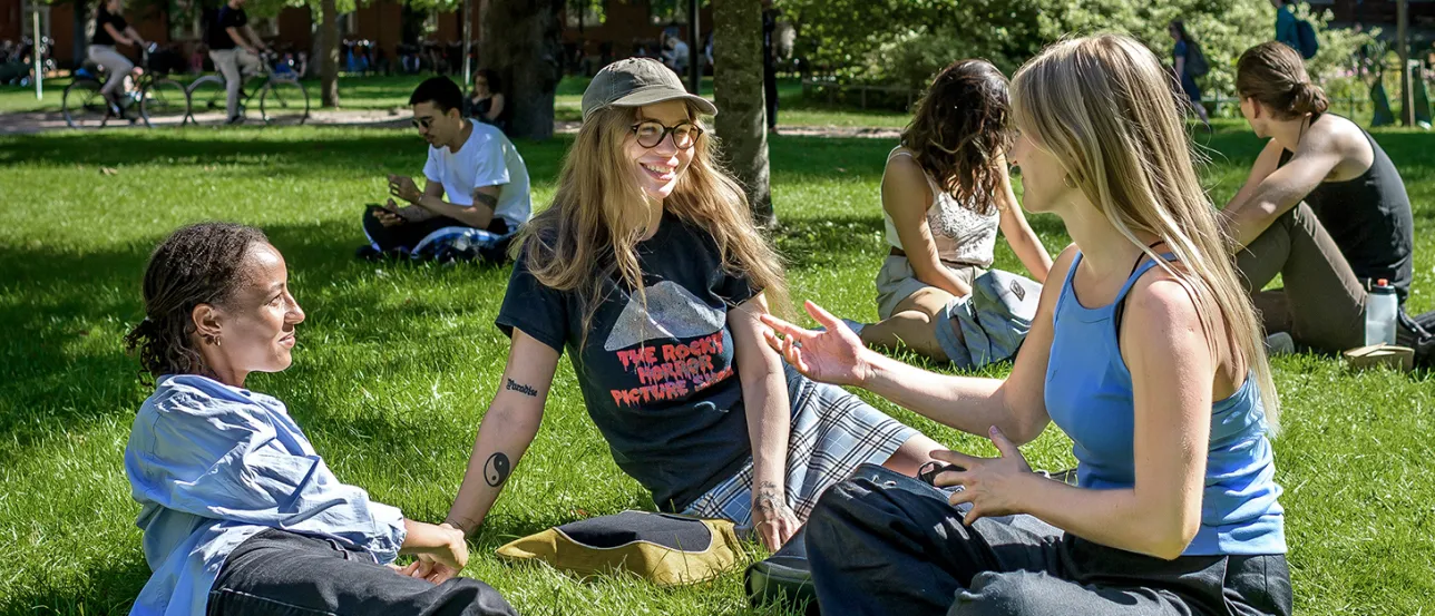Students sitting in the park. Photo. 